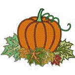 pumpkin pumpkin